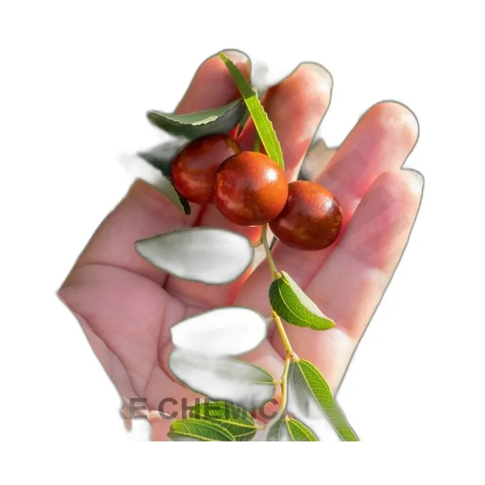 jak stosować olej jojoba na włosy